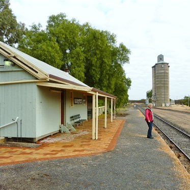 Sussie waiting for the train at Murrayville Station