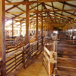 Yangar Shearing Shed
