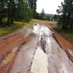 Whitton Stock Route - very wet and slippery