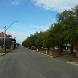 Beautiful Peppercorn Trees in Ariah's main street