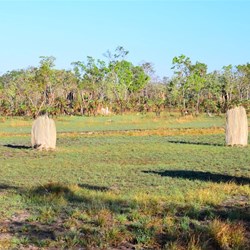 magnetic termite mounds