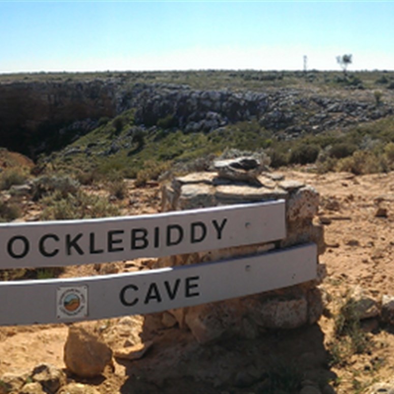 Cocklebiddy Cave