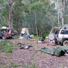 Happy campers at last!