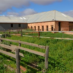 Coondambo Shearing Shed