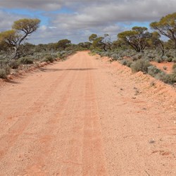 Private Coondambo Station Track