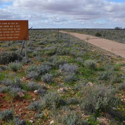 Heading towards the Centre Line of Fire Road