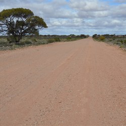 On the Centre Line Road