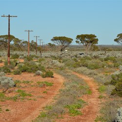 Station Tracks at the start of Day 3