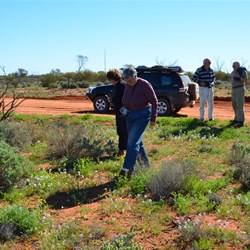One of our many stops to investigate the Wildflowers
