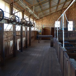 Inside the Shearing Shed