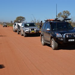 Stopping for more Wildflowers