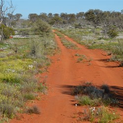 The Track from Dingo Flat Gate to Nawa Junction