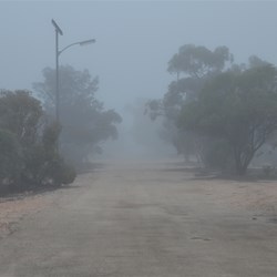 Our first morning in Maralinga - covered in thick fog
