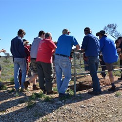 Learning about Tietkin's No 2 Well