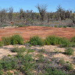 Len Beadell found the only fresh water out on the Range at Maralinga