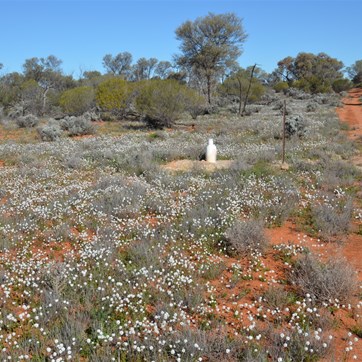 Old Bore on the Range Tour