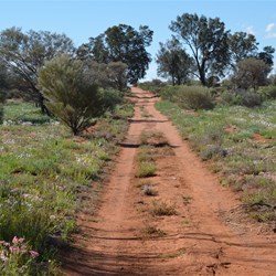 Heading north on the Emu Road