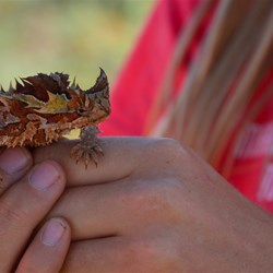 Leah with another Thorny Devil Lizard 