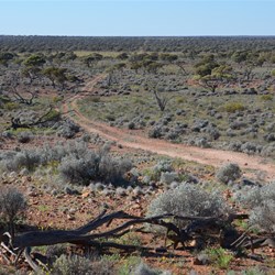View from The Lookout - Emu