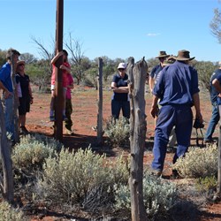 More ruins at Dingo Claypan