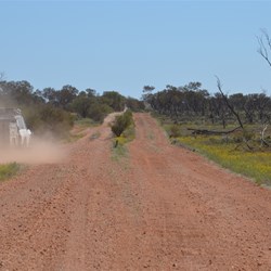 No escaping those Anne Beadell Highway corrugations 