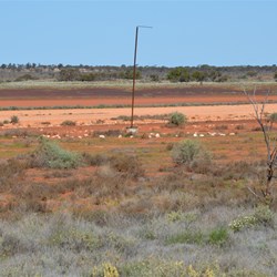 Old wind sock pole at Emu Claypan