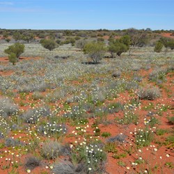 There was some stunning scenery out along the BMR
