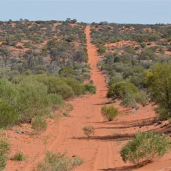 Straight like the Simpson Desert Tracks - But far better scenery