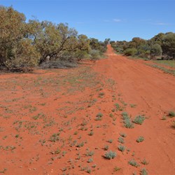 Back into low Mallee country