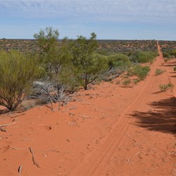 Still fantastic scenery along the BMR