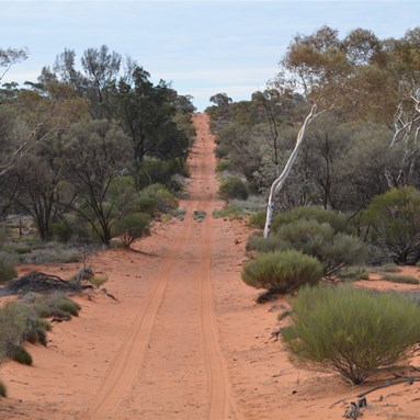 Heading up another of the BMR Roads