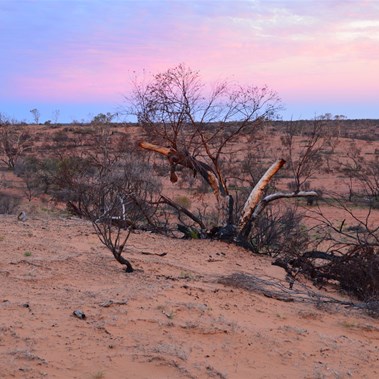 The top of the dune was a great vantage point for the setting sun