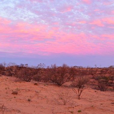 Ever changing colours as the sun sets