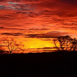 Those awesome colours