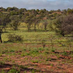 Then crossing another dune and this swale was left untouched from the fires 