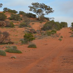 Dune crossing - it does not get any better than this out in the Great Victoria Desert