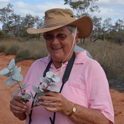 Val confirms that these are Eucalyptus wyolensis