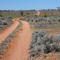 Heading towards Cook