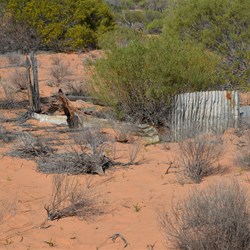 Old Mission ruins out at Ooldea Soak