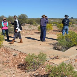 Eagle Observation Tower site