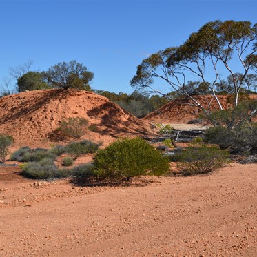 Old burial pits out on the Range