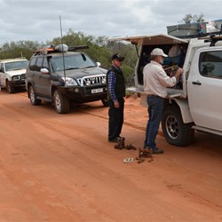 Stopped to investigate old building structures