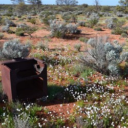 This is the site where Daisy Bates lived at Wynbring Rocks