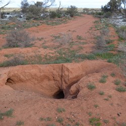 Heading south towards Yerda - we now had to be very careful of Wombat Warrens alongside and even on the road