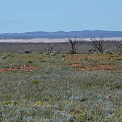 We were heading for Lake Harris in the distance