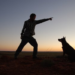 His masters voice (and pose) - That-a-way!