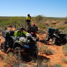 In the wild country - Great Sandy Desert
