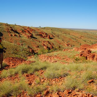 Searching the Erica Range for water