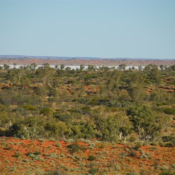 Looking across the dunes towards a salt lake
