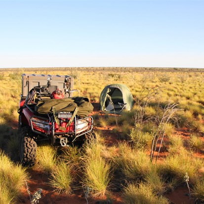 Camp in the spinifex at Mt Hughes